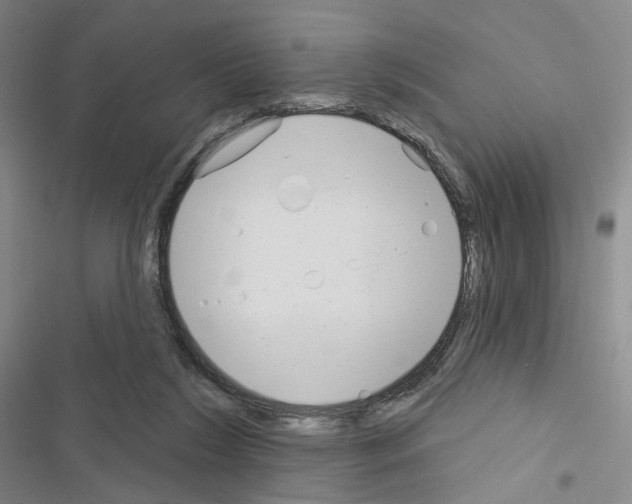 X0000116650212201001251204