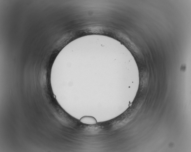 X0000116650213201001251204
