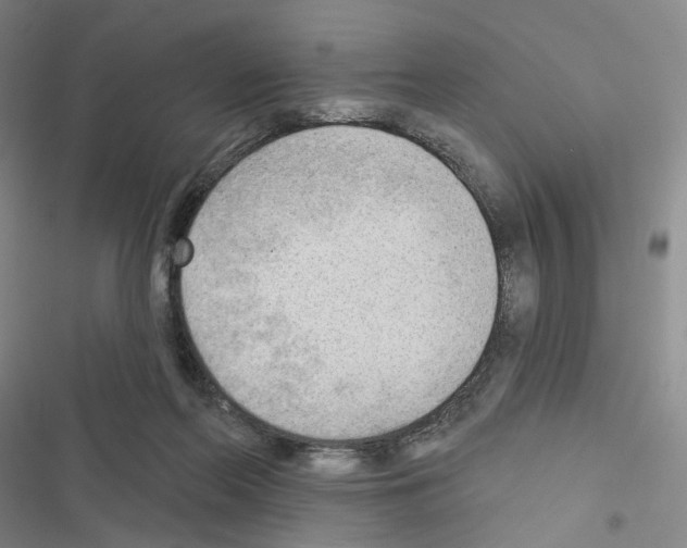 X0000116650214201001251204