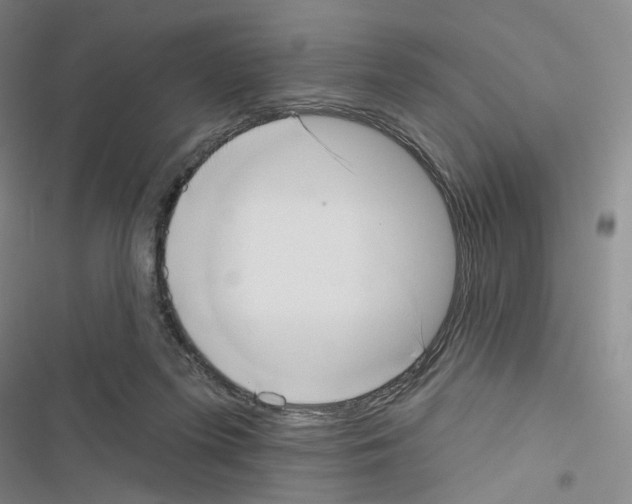 X0000116650215201001251204