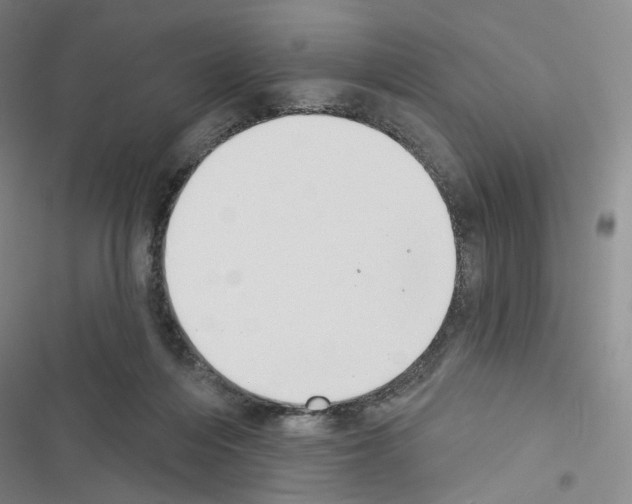 X0000116650216201001251204