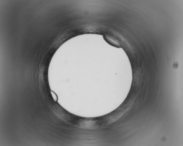 X0000116650217201001251204