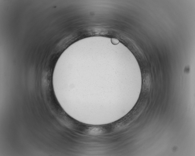X0000116650218201001251203