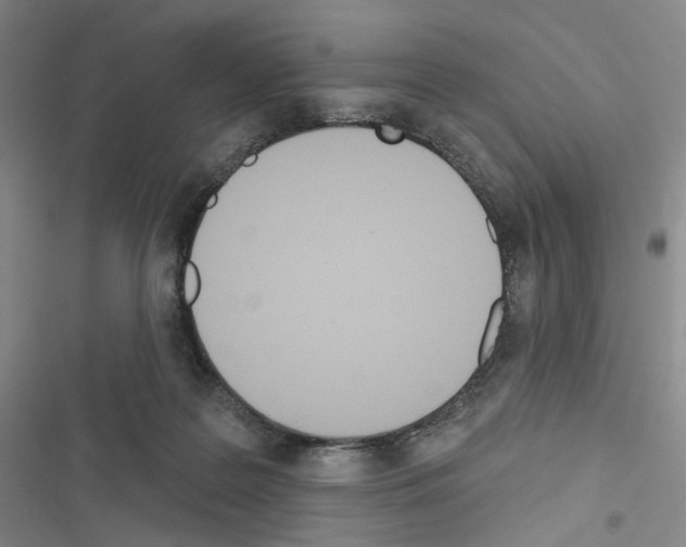 X0000116650219201001251203