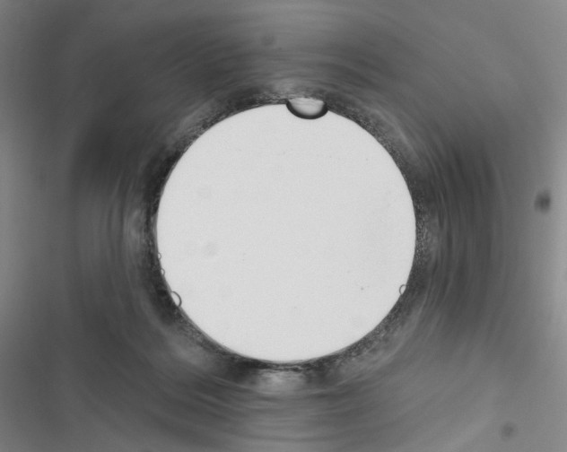 X0000116650220201001251203