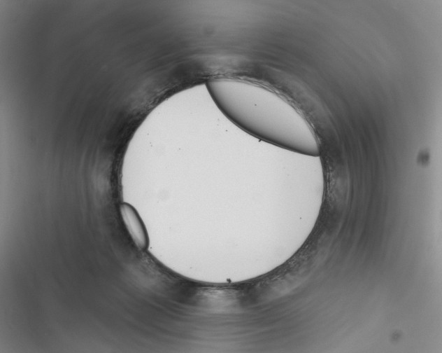 X0000116650221201001251203