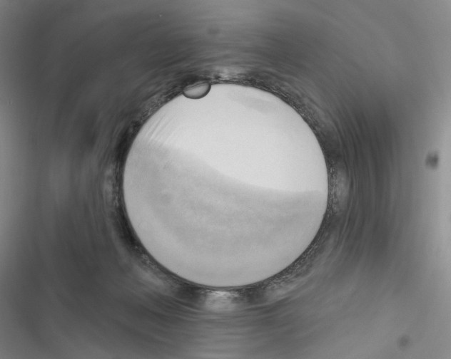 X0000116650222201001251203