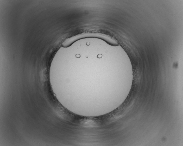X0000116650224201001251203