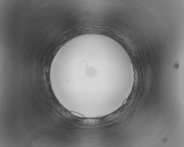 X0000116650225201001251203