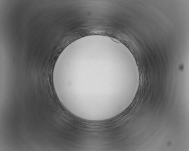 X0000116650229201001251203
