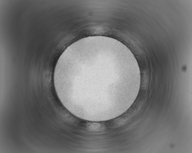X0000116650230201001251203