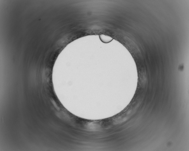 X0000116650232201001251203