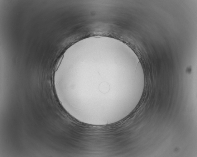 X0000116650233201001251203