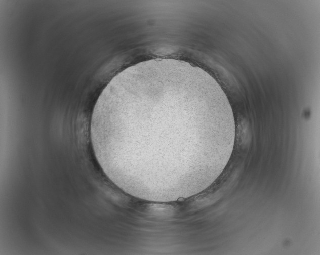 X0000116650234201001251203