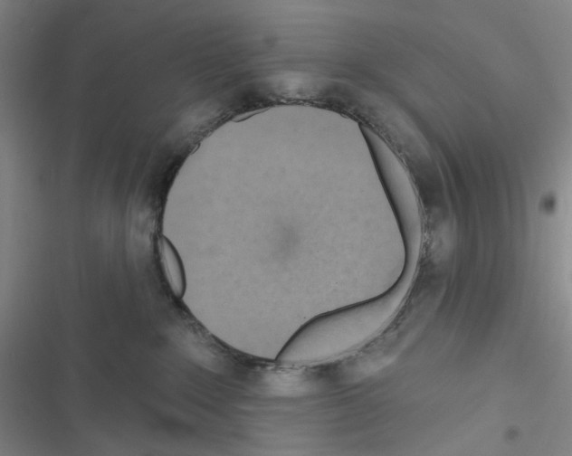 X0000116650235201001251203