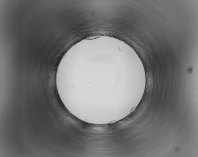 X0000116650236201001251203