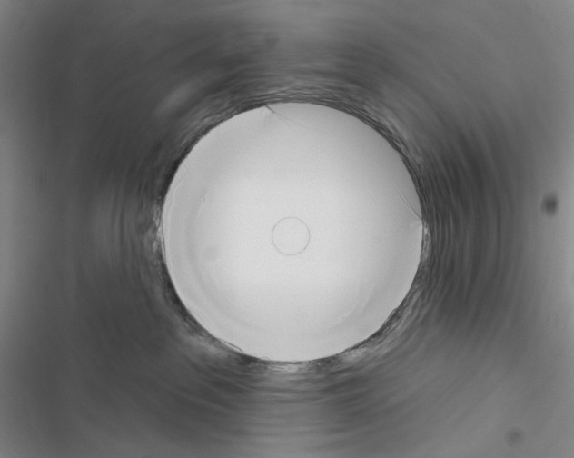 X0000116650237201001251203