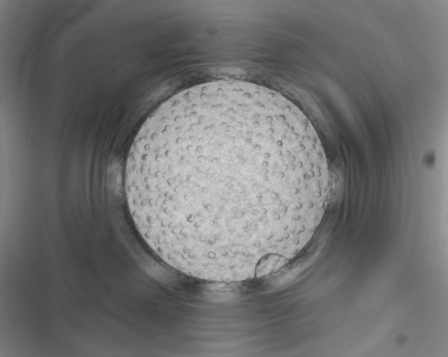X0000116650238201001251203