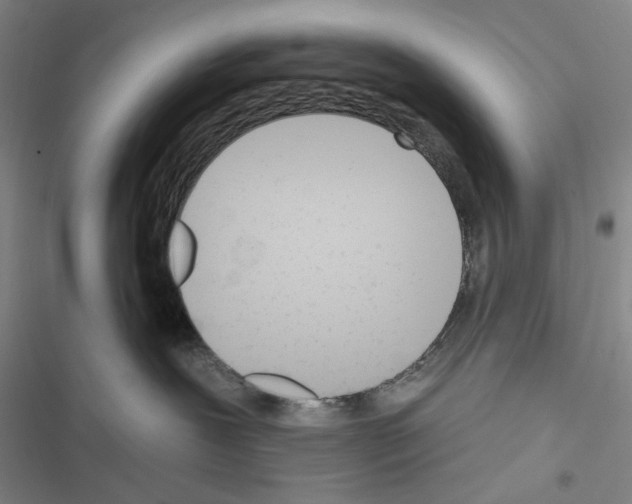 X0000116650239201001251203