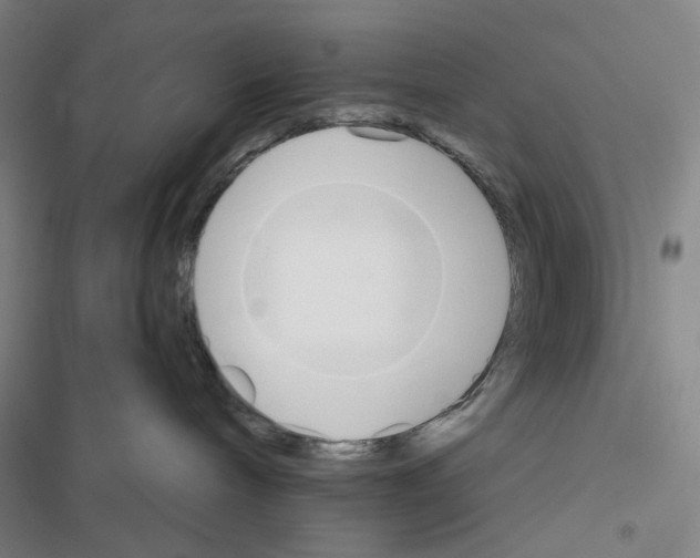 X0000116650240201001251203