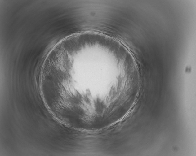 X0000116650241201001251203