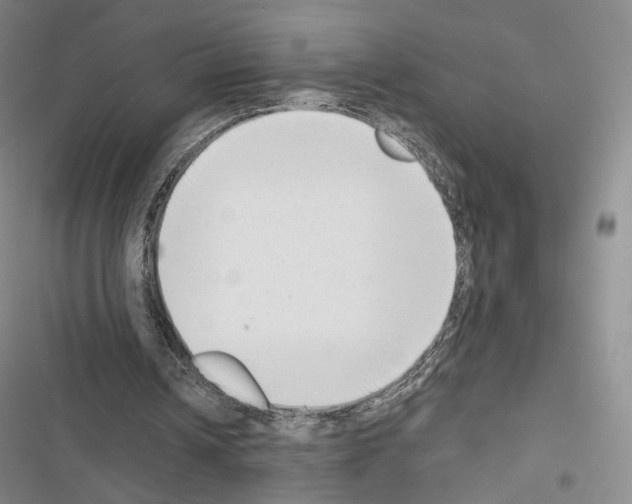 X0000116650242201001251203