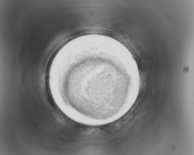 X0000116650243201001251203