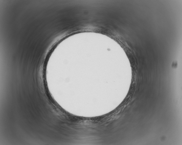 X0000116650244201001251203