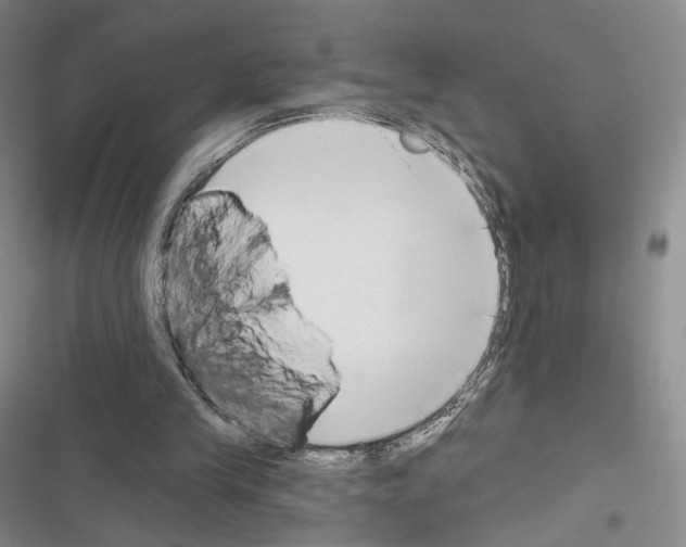 X0000116650245201001251203