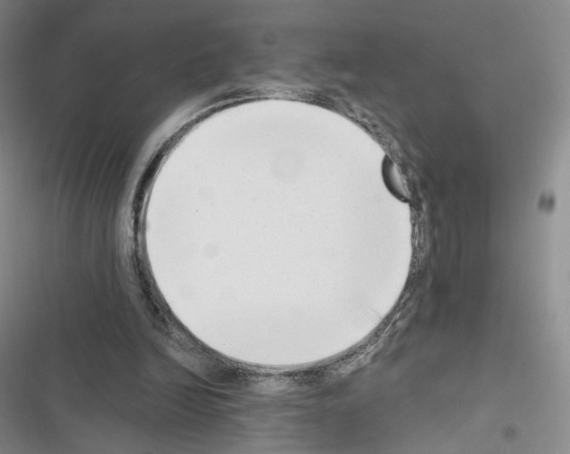 X0000116650246201001251203