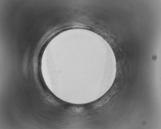 X0000116650247201001251203