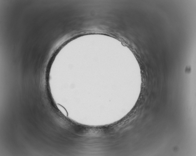 X0000116650248201001251203