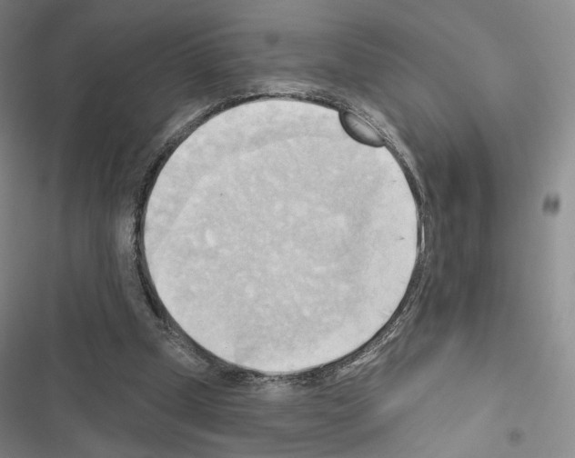 X0000116650249201001251203