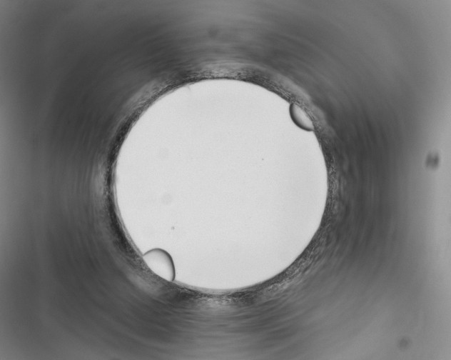 X0000116650250201001251203