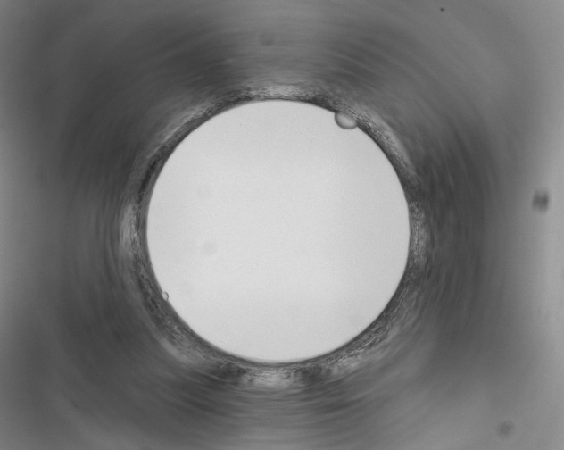 X0000116650251201001251203