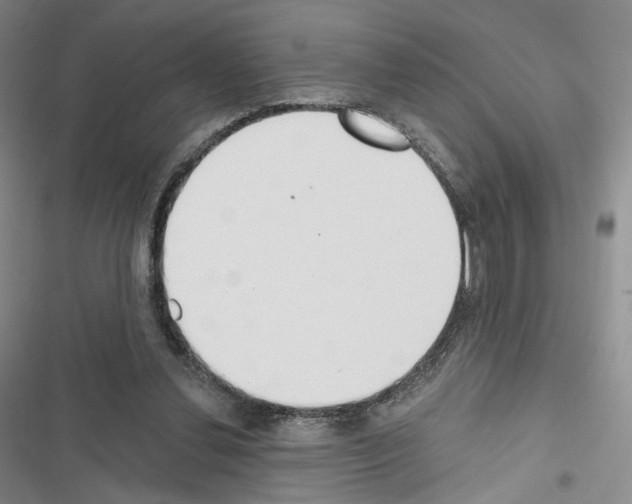 X0000116650252201001251203
