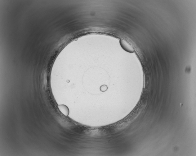 X0000116650253201001251203