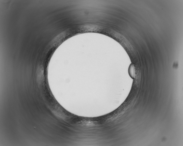 X0000116650254201001251203