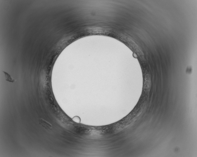 X0000116650255201001251203