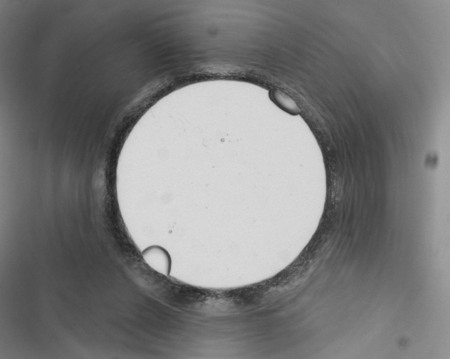 X0000116650256201001251203