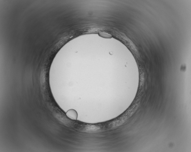 X0000116650257201001251203