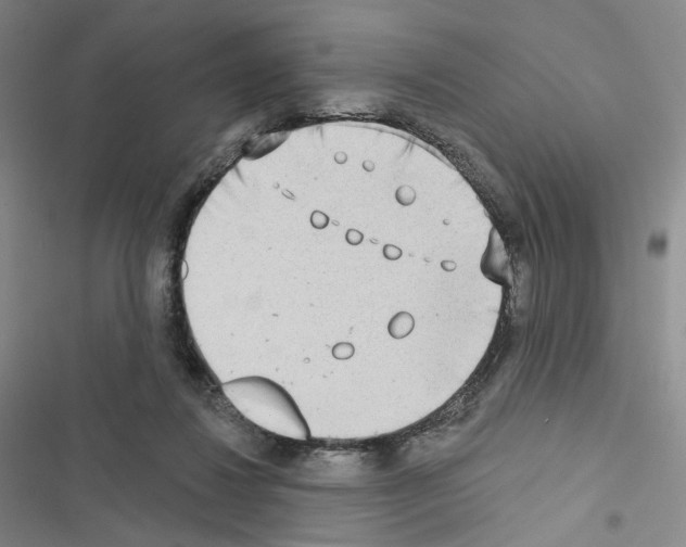 X0000116650260201001251203