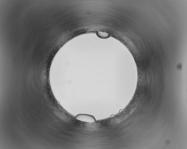 X0000116650261201001251203