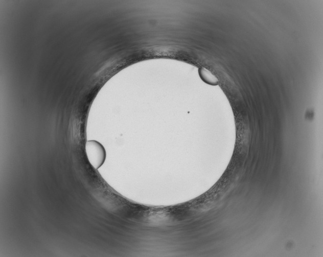 X0000116650262201001251203