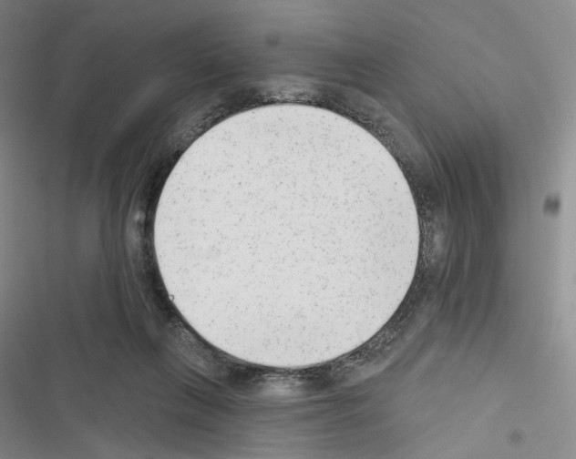 X0000116650263201001251203