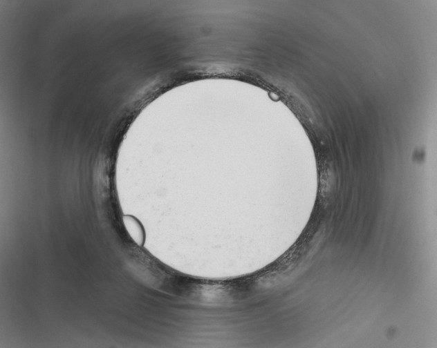 X0000116650264201001251203