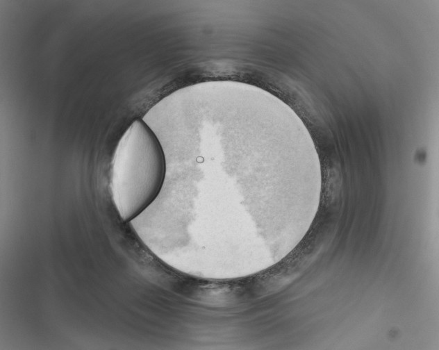 X0000116650267201001251203