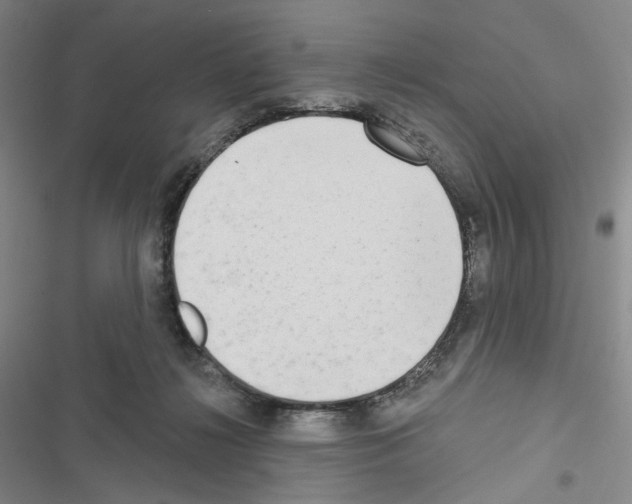 X0000116650268201001251203
