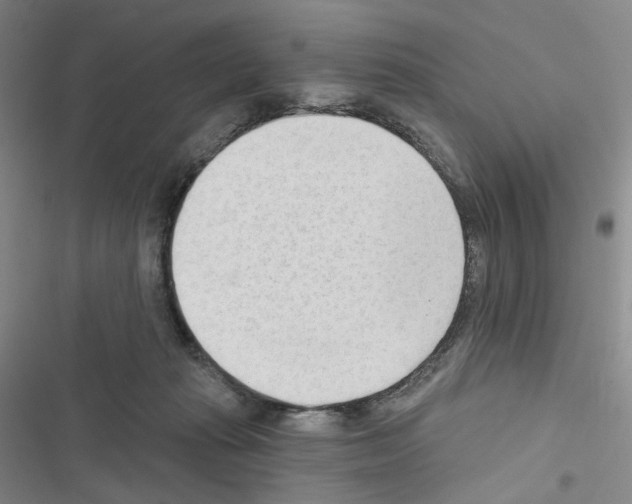 X0000116650269201001251203