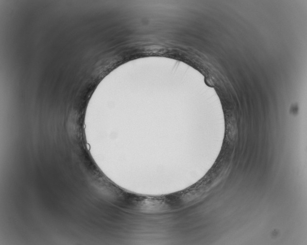 X0000116650270201001251203